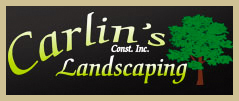 Carlins construction